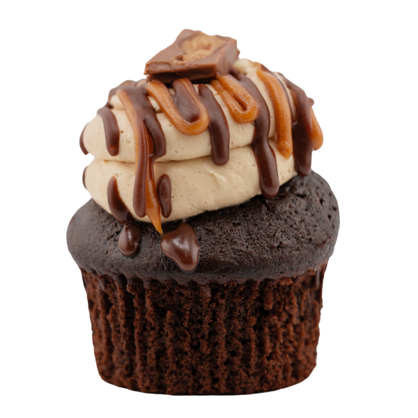 Chocolate peanut butter cup dessert bar